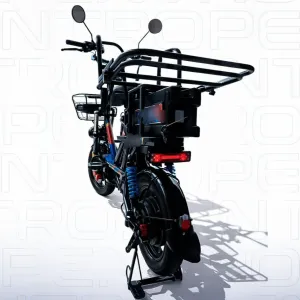 Elektro skuter